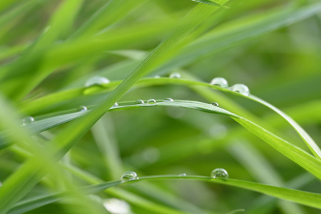 Bild-Nr: 12638844 Regentropfen Erstellt von: Einklang