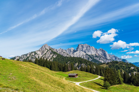 Bild-Nr: 12640905 Blick auf die Litzlalm mit Hütte in Österreich Erstellt von: Rico Ködder