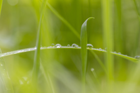 Bild-Nr: 12644098 Mystic Erstellt von: Einklang