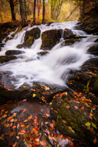 Bild-Nr: 12656869 Selkefall im Herbst Erstellt von: Martin Wasilewski