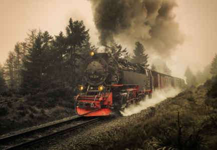 Bild-Nr: 12664067 Brockenbahn am Goetheweg im Harz  Erstellt von: Steffen Henze