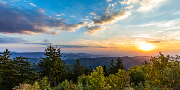 Bild-Nr: 12671045 Nationalpark Schwarzwald beim Schliffkopf Erstellt von: dieterich