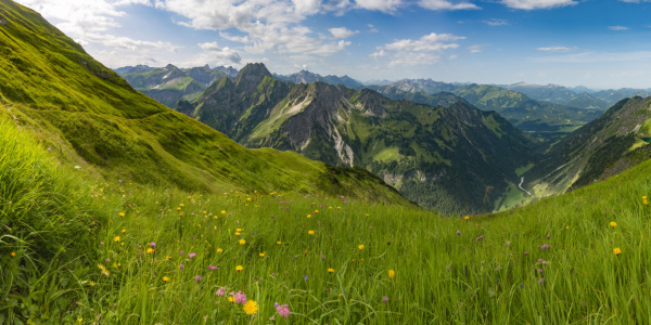 Bild-Nr: 12674950 Panorama ins Oytal Erstellt von: Walter G. Allgöwer