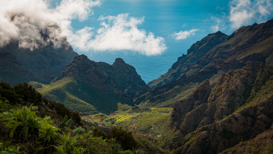Bild-Nr: 12677472 Masca auf Teneriffa Erstellt von: Martin Martin Wasilewski