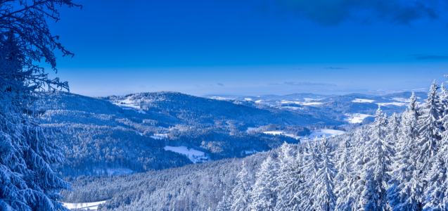 Bild-Nr: 12687722 Bayerischer Wald Erstellt von: Gregor Handy