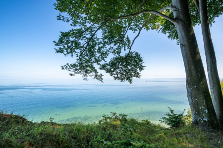 Bild-Nr: 12687743 Ostseeküste auf Rügen Erstellt von: eyetronic