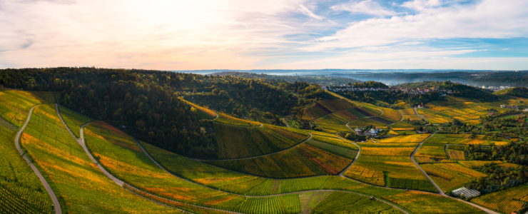 Bild-Nr: 12688082 Luftaufnahme der Weinberglandschaft um Stuttgart Erstellt von: raphotography88