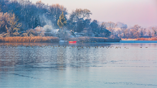 Bild-Nr: 12691309 Wintermorgen am See Erstellt von: Ursula Reins