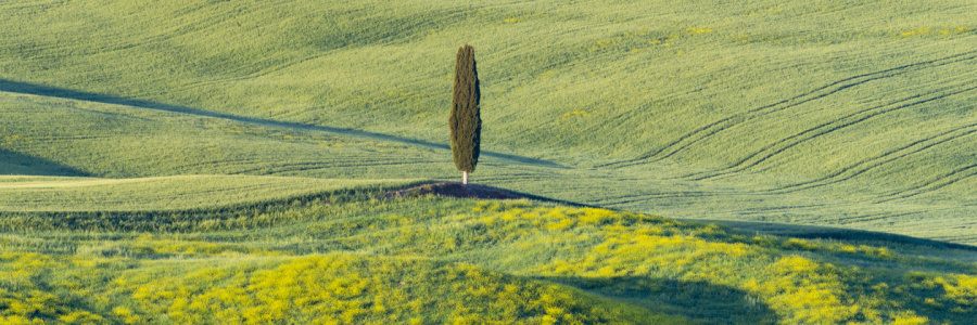 Bild-Nr: 12691919 Val d'Orcia Erstellt von: Walter G. Allgöwer