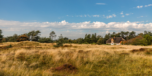 Bild-Nr: 12696221 Landhaus in den Dünen Erstellt von: Ursula Reins