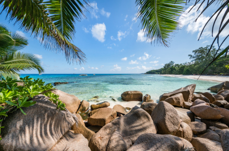 Bild-Nr: 12696979 Palmenstrand auf den Seychellen Erstellt von: eyetronic