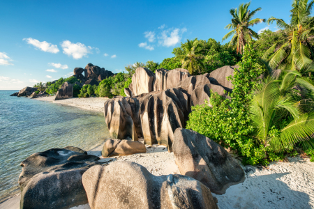 Bild-Nr: 12696992 Strand auf La Digue Erstellt von: eyetronic