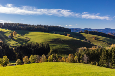 Bild-Nr: 12699672 Schwarzwald bei Sankt Peter im Herbst  Erstellt von: dieterich