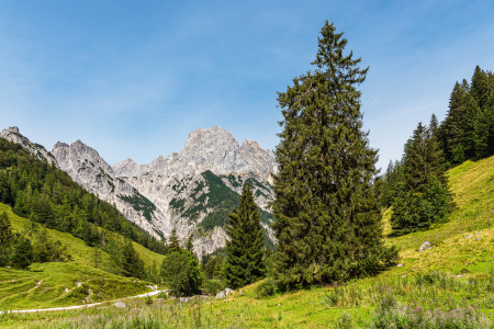 Bild-Nr: 12703435 Blick auf die Bindalm im Berchtesgadener Land Erstellt von: Rico Ködder