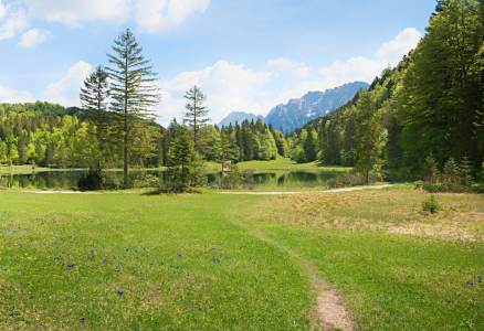 Bild-Nr: 12704649 Frühling am Ferchensee Erstellt von: SusaZoom