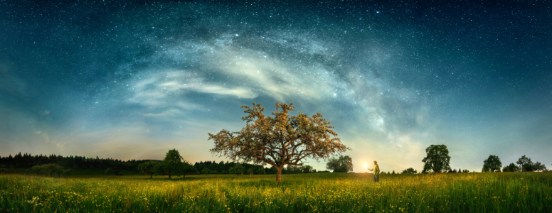 Bild-Nr: 12704658 Nachtlandschaft mit Baum unter Milchstraße Erstellt von: Smileus