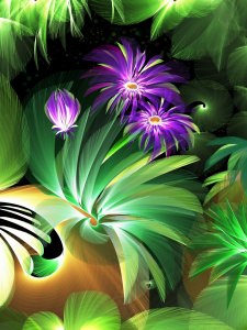 Bild-Nr: 12708724 Gartentraum Honigblume Erstellt von: Heidemarie Sattler