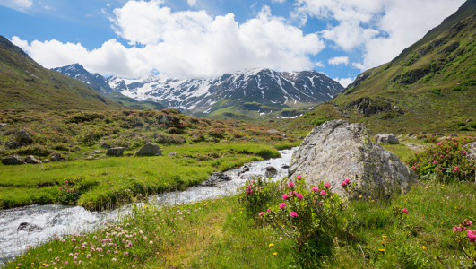 Bild-Nr: 12709253 Alpenlandschaft Dürrboden im Dischmatal Erstellt von: SusaZoom