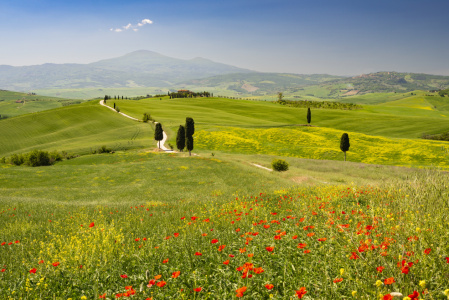 Bild-Nr: 12711837 Val d'Orcia Erstellt von: Walter G. Allgöwer