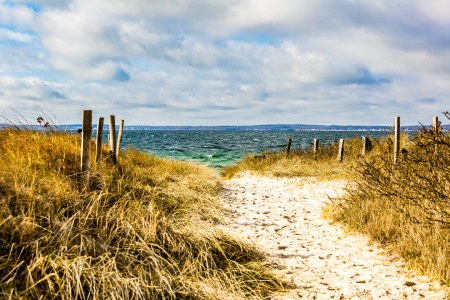 Bild-Nr: 12711902 Gelbe Dünen und grünliches Meer Erstellt von: Ursula Reins
