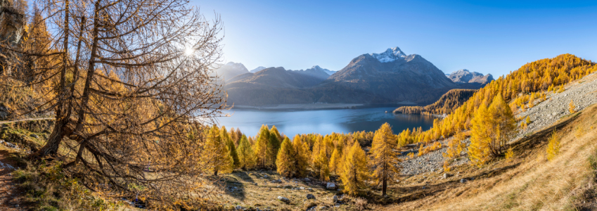 Bild-Nr: 12712016 Silsersee im Herbst Erstellt von: eyetronic