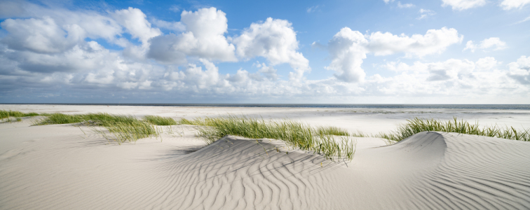 Bild-Nr: 12712162 Dünen am Meer Erstellt von: eyetronic
