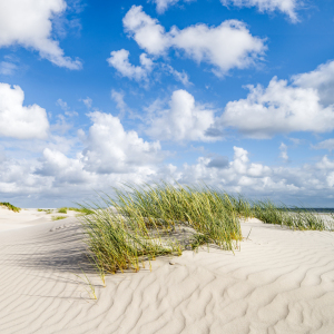 Bild-Nr: 12715773 Dünenstrand an der Nordseeküste Erstellt von: eyetronic