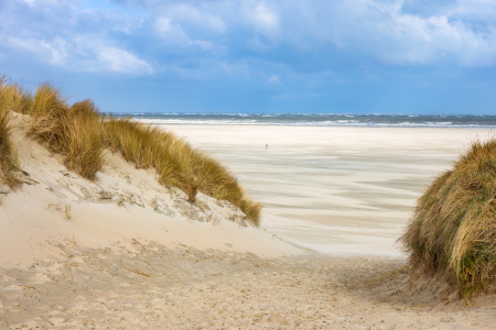 Bild-Nr: 12717428 Strand auf Texel Erstellt von: Daniela Beyer