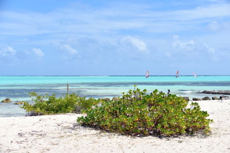 Bild-Nr: 12720187 Bonaire Erstellt von: GUGIGEI