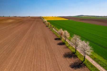 Bild-Nr: 12721943 Frühling Erstellt von: Achim Thomae