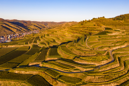 Bild-Nr: 12722579 Luftbild Weinberge Vogtsburg im Kaiserstuhl Erstellt von: dieterich