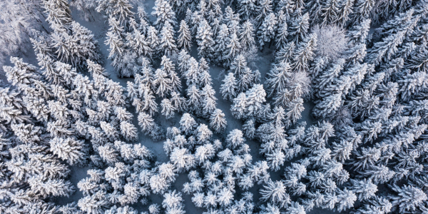 Bild-Nr: 12722580 Luftbild Schwarzwald im Winter Erstellt von: dieterich
