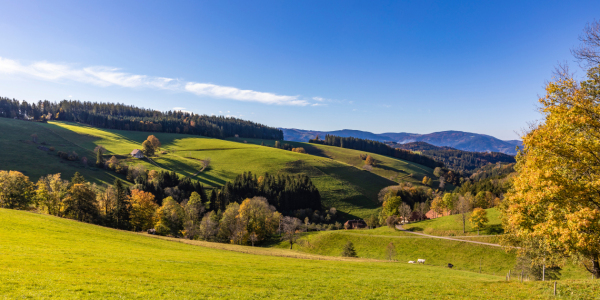 Bild-Nr: 12723010 Landschaft bei Sankt Peter im Schwarzwald Erstellt von: dieterich