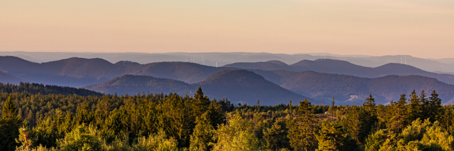 Bild-Nr: 12723017 Nationalpark Schwarzwald beim Schliffkopf   Erstellt von: dieterich