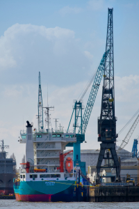 Bild-Nr: 12725113 Feeder Erstellt von: nadine-gutmann