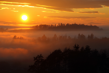 Bild-Nr: 12726053 Schwarzwald Erstellt von: Gerhard Albicker