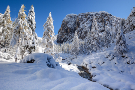 Bild-Nr: 12728403 verschneite Landschaft Erstellt von: Bettina Schnittert