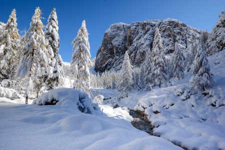 Bild-Nr: 12728403 verschneite Landschaft Erstellt von: Bettina Schnittert