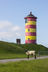 Bild-Nr: 12729377 Der Turm und das Schaf Erstellt von: yammay