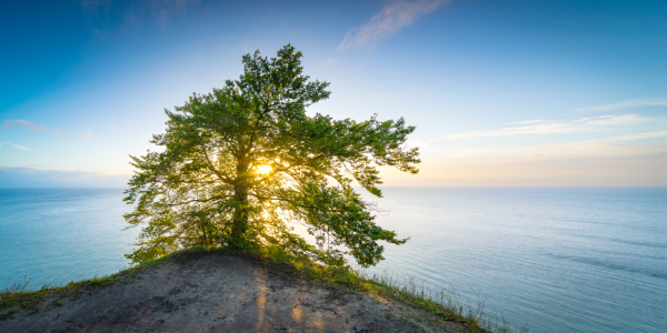 Bild-Nr: 12729816 Sonnenaufgang an der Kreideküste Erstellt von: Martin Martin Wasilewski