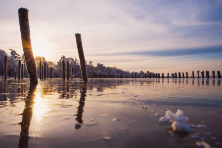 Bild-Nr: 12730270 Winter Impressionen am See Erstellt von: Tanja Riedel