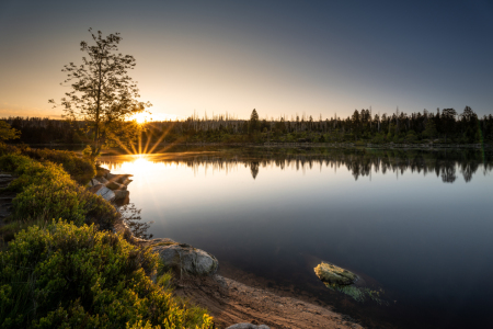 Bild-Nr: 12731040 Erholung am Oderteich im Harz Erstellt von: Steffen Henze