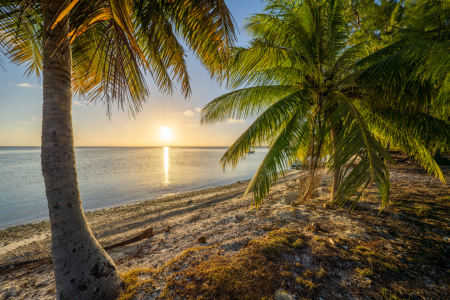 Bild-Nr: 12731707 Sonnenuntergang am Strand in den Tropen Erstellt von: eyetronic