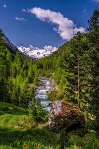 Bild-Nr: 12732524 Schweizer Bergwelten Erstellt von: Achim Thomae