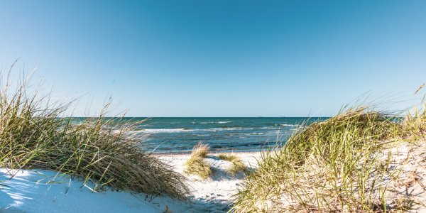 Bild-Nr: 12733264 Dünen Strand und Ostseewellen   Erstellt von: Ursula Reins