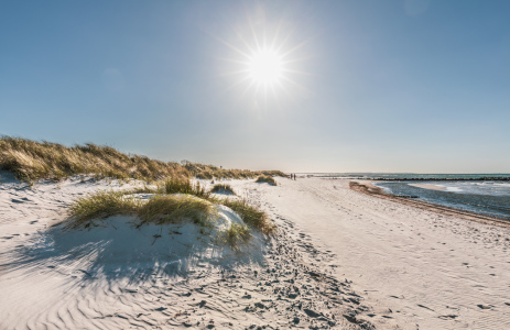 Bild-Nr: 12733483 Strandspaziergang im Sonnenlicht   Erstellt von: Ursula Reins