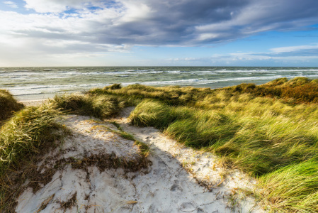 Bild-Nr: 12733991 Blick über die Dünen zur Ostsee Erstellt von: Daniela Beyer
