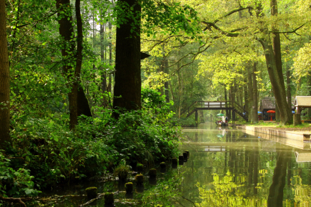 Bild-Nr: 12734410 Spreewald  Erstellt von: Gerhard Albicker
