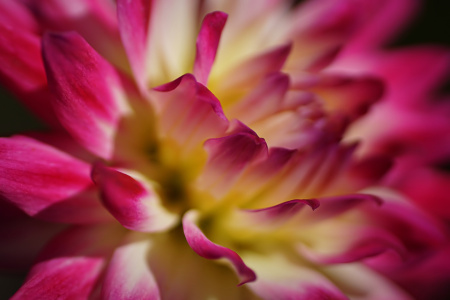 Bild-Nr: 12734543 Pattern Erstellt von: youhaveadream