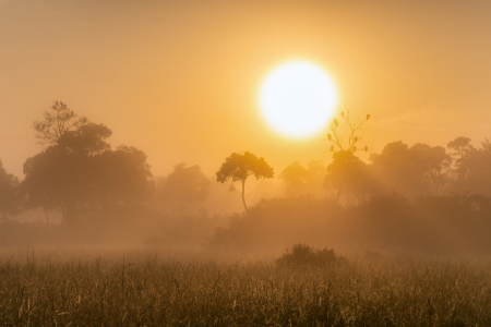 Bild-Nr: 12734953 Sonnenaufgang in der Masai Mara Erstellt von: eyetronic